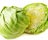 Cabbage (Summer/Autumn)